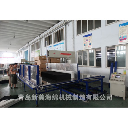 Tdp-4ls automatic vertical cutting machine